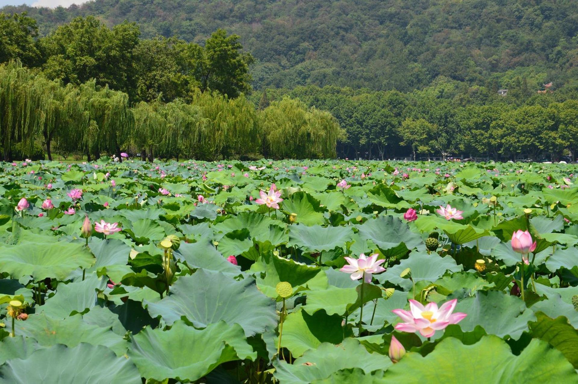 Nost Algia S Hotel In The West Lake Scenic Area-,Lingyin Temple, Leifeng Tower, Children'S Playground, Free Night Snack, Free Laundry, English Communication Well, Free Travel Advice Ханчжоу Екстер'єр фото
